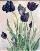 beauty is harsh III
SOLD